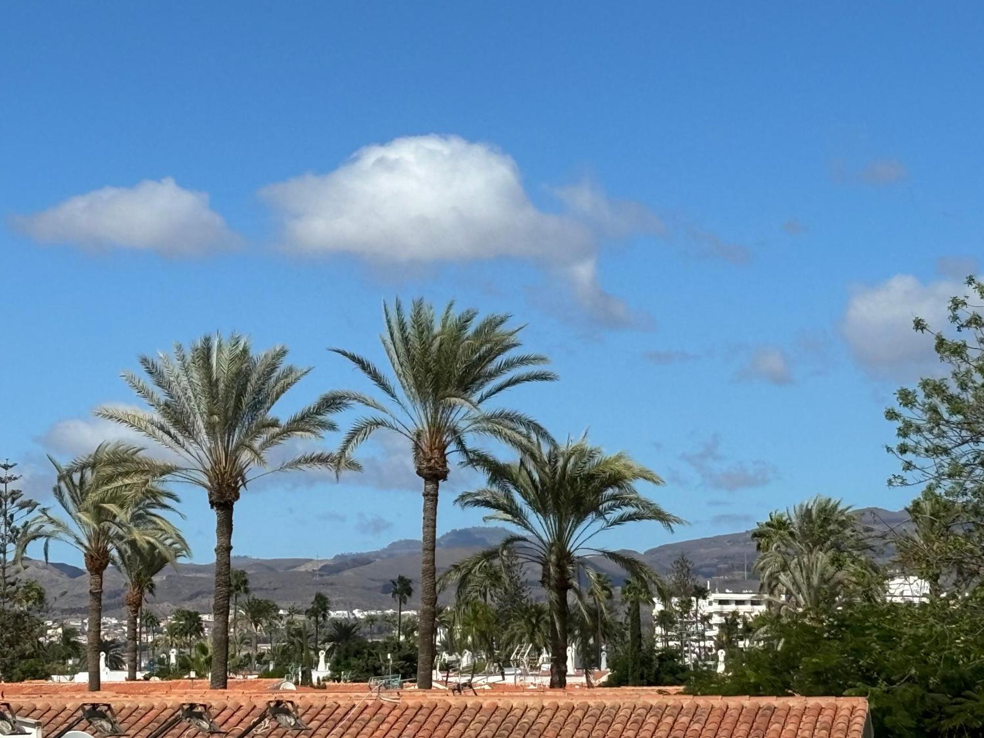 Loris Home Playa Ingles 50Mt From Yumbo By Luca Properties Gran Canaria San Bartolomé Ngoại thất bức ảnh
